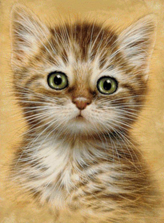 милые малыши - котенок, кошка, домашние животные, кот - предпросмотр