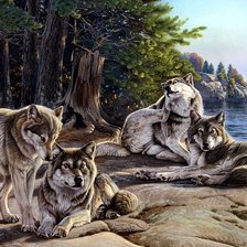 Схема вышивки «Волки»