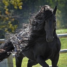 Схема вышивки «fryz»