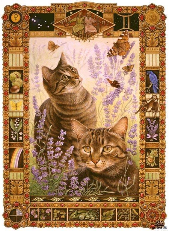 bliźnięta - kot, znaki zodiaku - оригинал