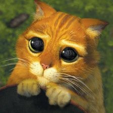 Схема вышивки «Кот из Шрека)»