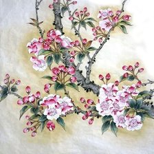 Схема вышивки «сакура»