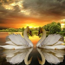 Схема вышивки «№1244143»