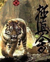 Схема вышивки «киокушинкай»