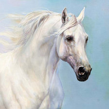 Схема вышивки «Ветер в гриве»