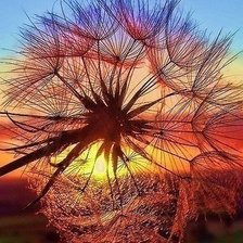 Схема вышивки «Легкость»