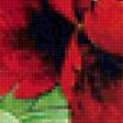 Предпросмотр схемы вышивки «Пионовая ветка» (№1244724)