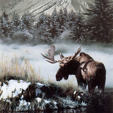 Схема вышивки «Лось»