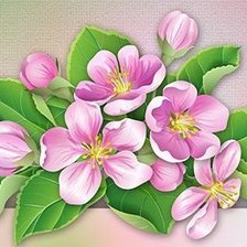 цветущая ветвь