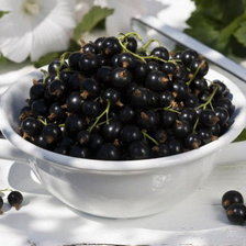 Схема вышивки «смородина»