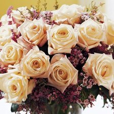 Схема вышивки «букет роз»