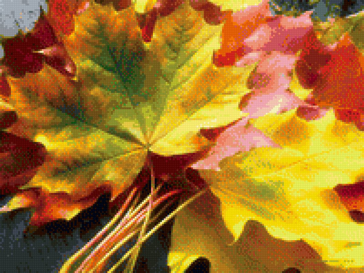 листья - предпросмотр