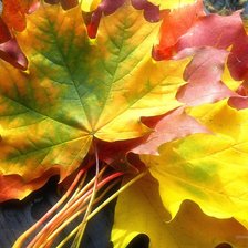 Схема вышивки «листья»