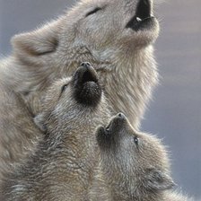 Схема вышивки «№1246691»