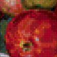 Предпросмотр схемы вышивки «Яблоки-1» (№1246749)