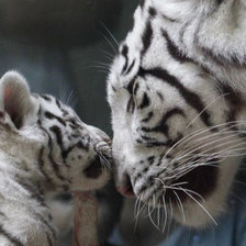 Схема вышивки «мамина любовь»