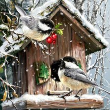 Схема вышивки «Птички»