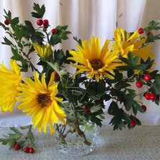 Схема вышивки «№1247369»