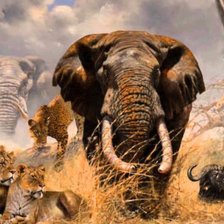 Схема вышивки «Животные Африки»