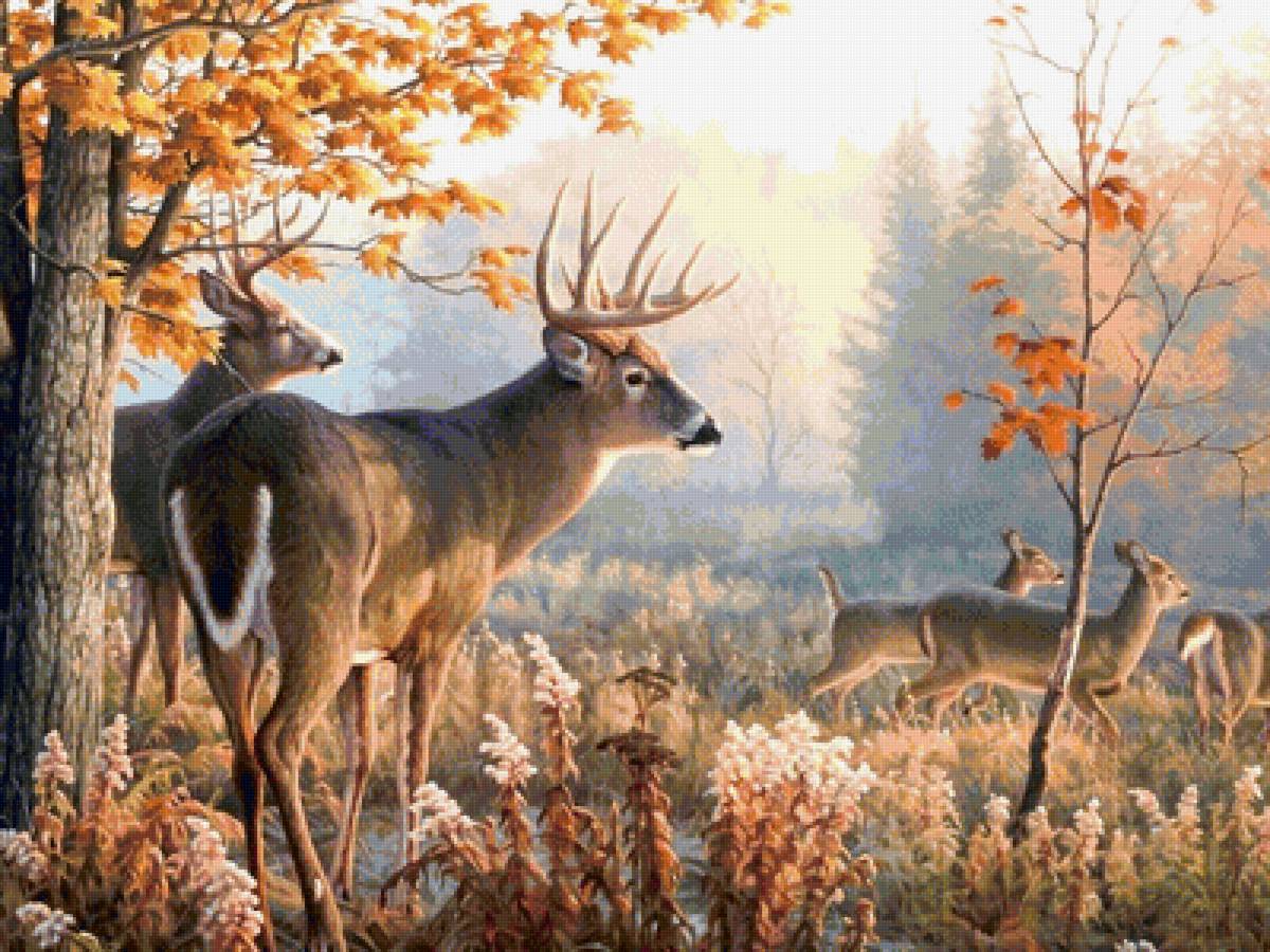 №1247924 - животные - предпросмотр