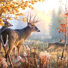 Схема вышивки «№1247924»