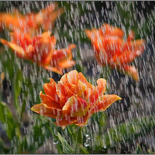 Схема вышивки «дождь»