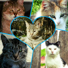 Схема вышивки «друзья»