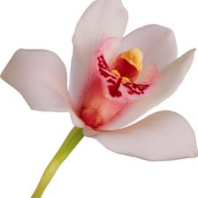 Схема вышивки «№1248665»