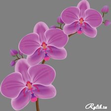 Схема вышивки «№1248668»