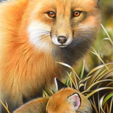 Схема вышивки «Лиса»