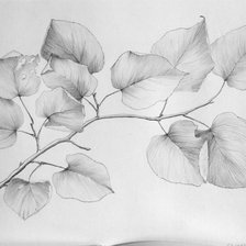 Схема вышивки «монохром»