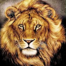 Схема вышивки «король-лев»