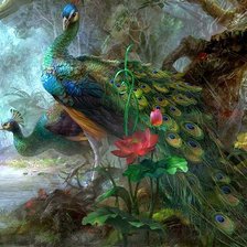 Схема вышивки «павлины»