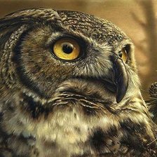 Схема вышивки «сова»