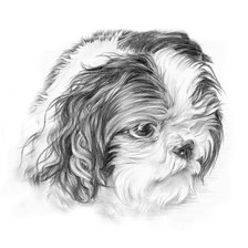 Схема вышивки «Мордашка»