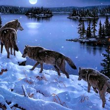 Схема вышивки «волки 4»