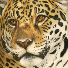 Схема вышивки «188»