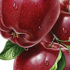 Схема вышивки «яблоки»