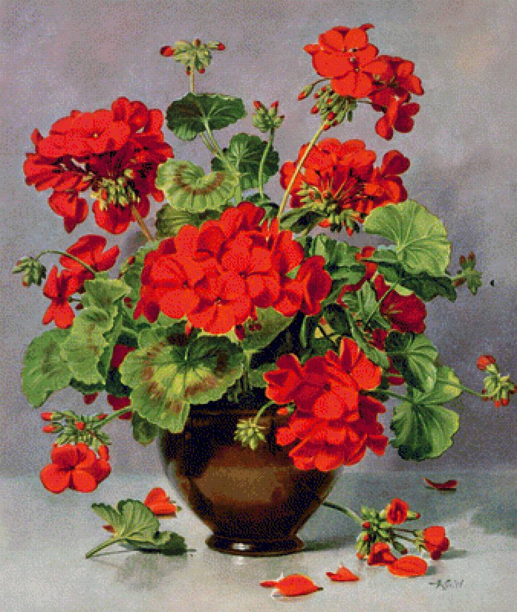 герань - букет цветы - предпросмотр