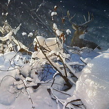 Схема вышивки «олень»