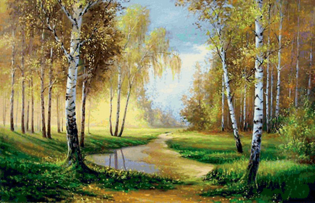 пейзаж за окном - березы, красота, лес, пейзаж, природа, деревья, лето - предпросмотр