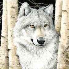 Схема вышивки «Волк»