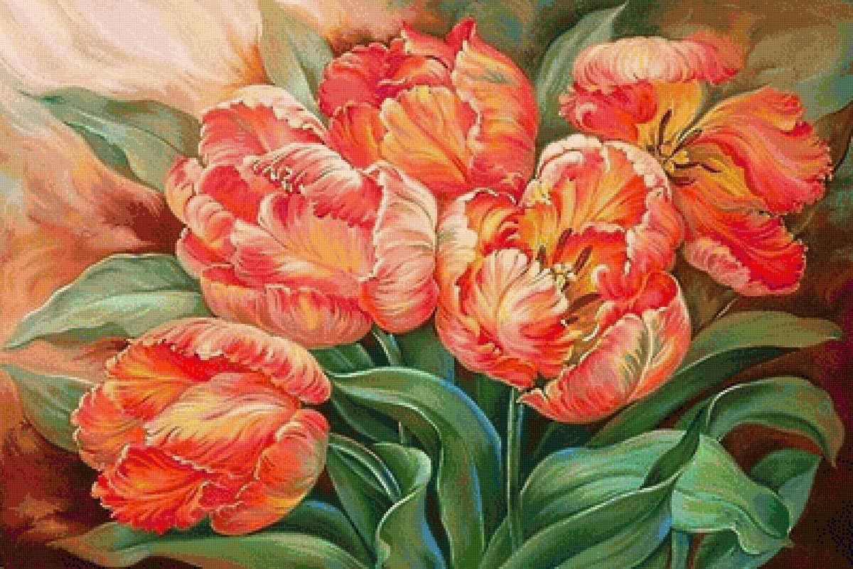 розовое чудо - розовые цветы, тюльпан, тюльпаны - предпросмотр