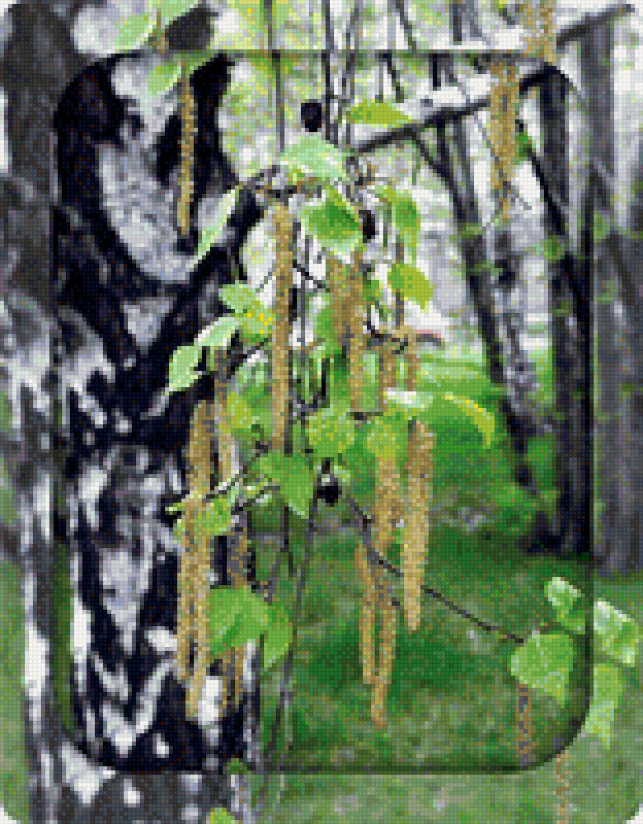 Береза - предпросмотр