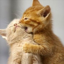 Схема вышивки «котята»