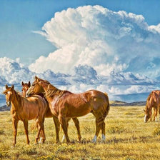 Схема вышивки «Лошади»