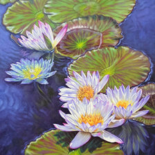 Схема вышивки «Худ. Фиона Крайг»