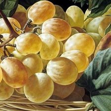 Схема вышивки «виноград»