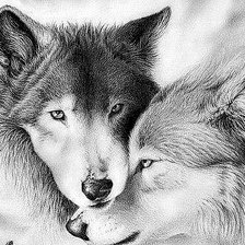 Схема вышивки «№1252722»