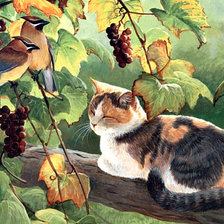 Схема вышивки «№1252939»